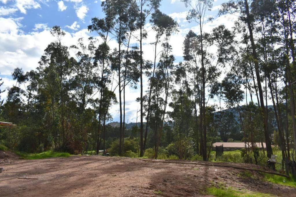 Ferienhaus Domo La Esmeralda Glamping Familiar 5p